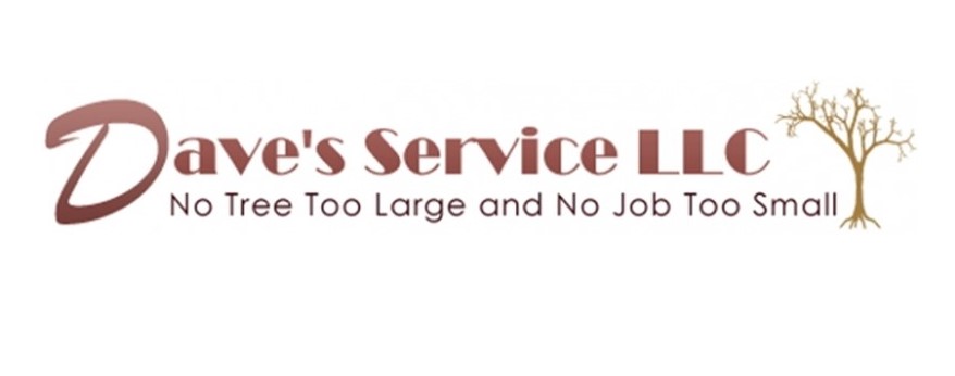 Dave's Services
